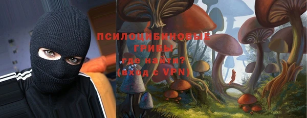 a pvp Корсаков