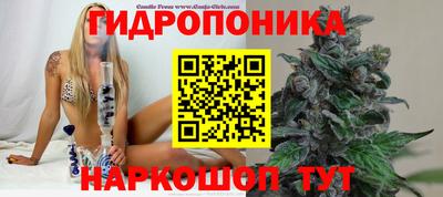 МДПВ Кимры