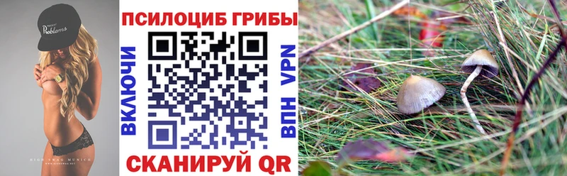 Галлюциногенные грибы GOLDEN TEACHER  продажа наркотиков  Лабытнанги 